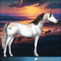 Horse Color:Bay Roan Splash Rabicano 