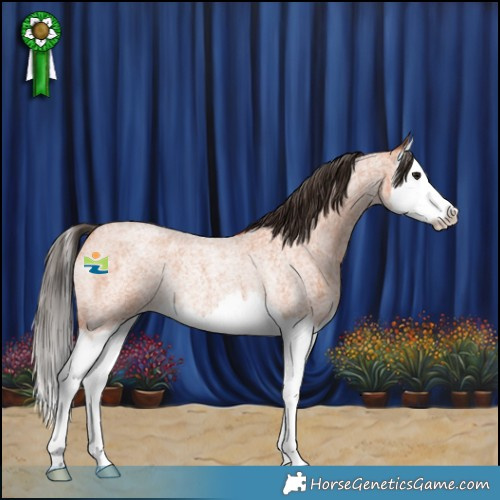 Horse Color:Bay Roan Splash Rabicano 
