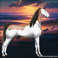Horse Color:Bay Roan Splash Rabicano 