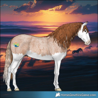 Horse Color:Red Roan Splash 