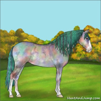 Horse Color:Painted Nacre Liver Red Dun Ice Onyx Sabino Rabicano Brindle 