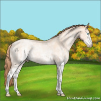 Horse Color:White Spotted Classic Champagne Pearl 