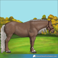 Horse Color:Silver Black 