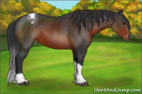 Horse Color:Brown Sabino Tobiano Varnish