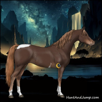 Horse Color:Liver Chestnut Tobiano Rabicano 