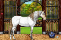 Horse Color:White Spotted Buckskin Dun Appaloosa Rabicano 