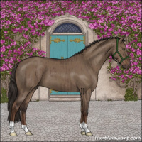 Horse Color:Liver Red Dun Brindle 
