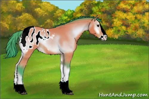 Horse Color:Watercolor Brown Onyx Splash Appaloosa 