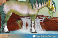 Horse Color:Watercolor Bay Onyx Splash 