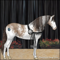Horse Color:White Spotted Classic Champagne 