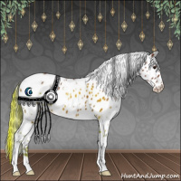 Horse Color:White Spotted Bay Appaloosa 