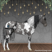 Horse Color:White Spotted Blue Roan Appaloosa 