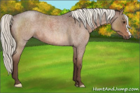 Horse Color:Liver Red Roan Mushroom 
