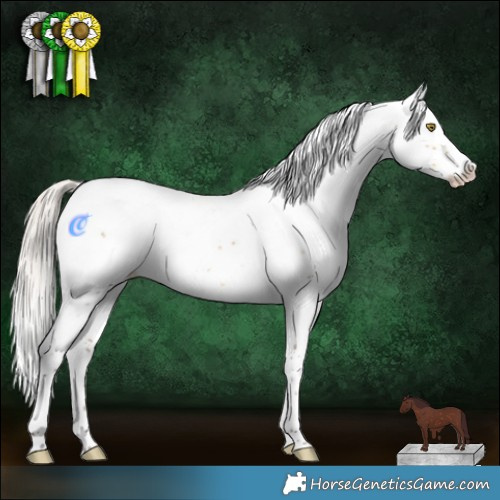 Horse Color:White Spotted Chocolate Silver Buckskin Ice Dun Splash 