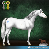 Horse Color:White Spotted Chocolate Silver Buckskin Ice Dun Splash 