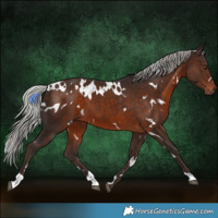 Horse Color:White Spotted Silver Brown 
