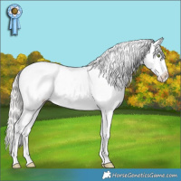 Horse Color:Silver Amber Champagne Dun Sabino Splash Varnish Rabicano 