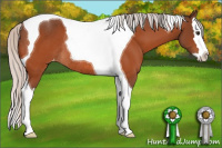 Horse Color:Silver Brown Sabino Splash Tobiano Varnish Rabicano 