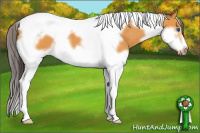 Horse Color:White Spotted Buckskin Splash Tobiano Frame Rabicano