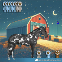 Horse Color:White Spotted Black