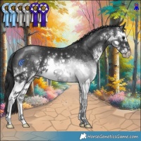 Horse Color:White Spotted Black
