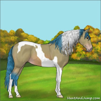 Horse Color:Watercolor Bay Tobiano 
