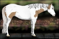 Horse Color:Silver Bay Dun Splash Tobiano