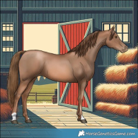 Horse Color:Liver Chestnut Pearl 