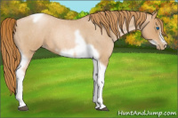 Horse Color:Red Roan Pearl Tobiano Frame 