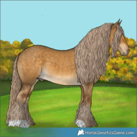 Horse Color:Chocolate Palomino Dun