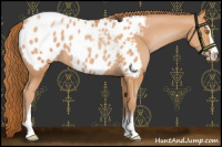 Horse Color:Bay Pearl Sabino Near Leopard 