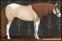 Horse Color:Chocolate Brown Pearl Dun Sabino Varnish 