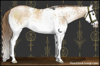 Horse Color:White Spotted Grullo Pearl Splash 