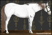 Horse Color:White Spotted Liver Chestnut Appaloosa Rabicano