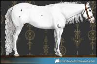 Horse Color:Silver Brown Snowcap 