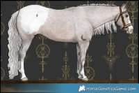 Horse Color:Silver Brown Snowcap 