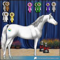 Horse Color:Cremello Roan Appaloosa Rabicano 