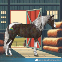 Horse Color:Midnight Silver Bay Ice Tobiano 