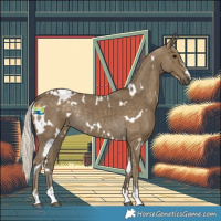 Horse Color:White Spotted Silver Smoky Black 