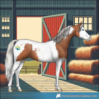 Horse Color:Silver Bay Splash Tobiano 
