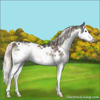 Horse Color:White Spotted Liver Red Onyx Mushroom Splash 