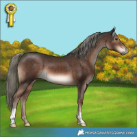 Horse Color:Liver Chestnut Mushroom 