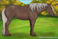 Horse Color:Silver Black 