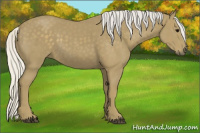 Horse Color:Silver Smoky Black 