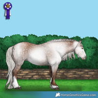 Horse Color:Gray Silver Black Pearl Tobiano 