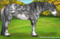 Horse Color:White Spotted Brown Ice Frame 