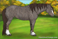 Horse Color:Liver Red Ice Roan Sabino 