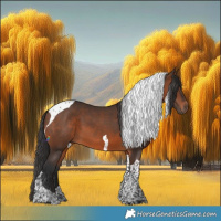Horse Color:Brown Tobiano 