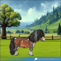 Horse Color:White Spotted Brown 