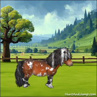 Horse Color:White Spotted Brown 